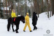 Курорт Дом у моря для романтического отдыха в Ленобласти