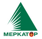 Меркатор Холдинг